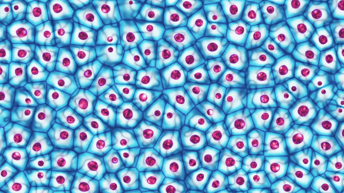 Your Body Is Recording Everything You Think