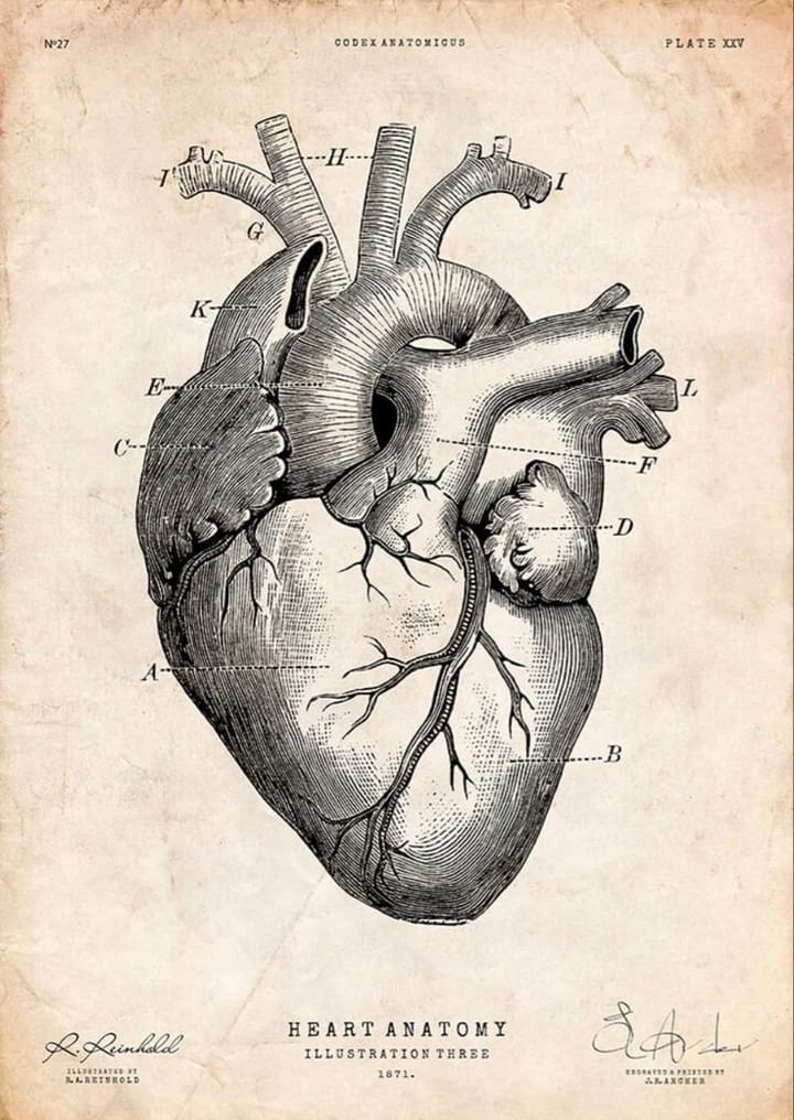 The Secret Language of the Heart: When Emotions Become Illness